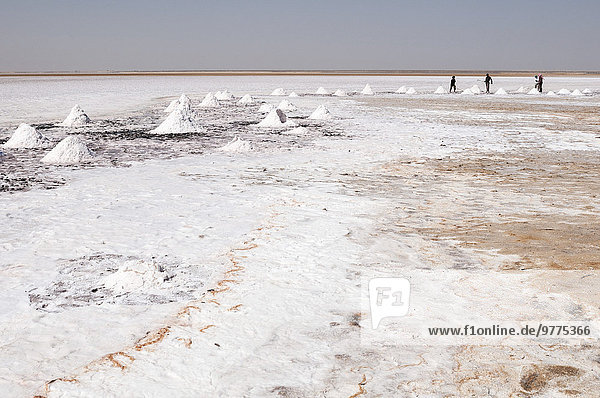 nahe Naher Osten Oman Speisesalz Salz