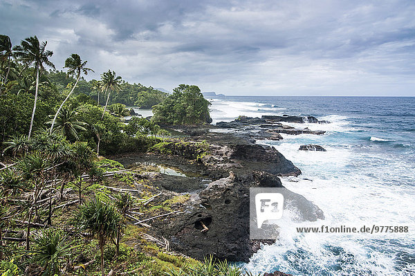 Felsen Küste ungestüm Pazifischer Ozean Pazifik Stiller Ozean Großer Ozean Samoainseln