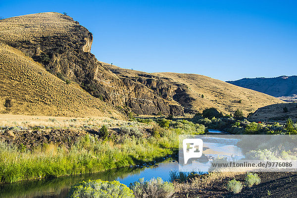 Felsbrocken Tag Amerika Stärke Bett Schaf Ovis aries fließen Monument Fluss Nordamerika Verbindung Einheit Fossil Oregon