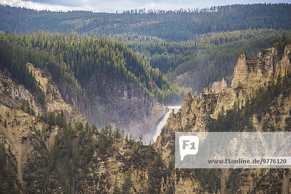 Amerika Ehrfurcht Nordamerika Verbindung Yellowstone Nationalpark UNESCO-Welterbe Schlucht Lower Falls Wyoming
