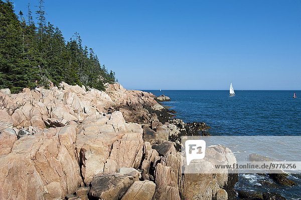 Sailing boat at the rocky cliffs of Bass Harbor Head Lighthouse  Acadia National Park  Maine  New England  United States of America  North America