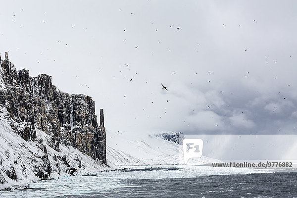 Europa Sturm nähern Norwegen Spitzbergen Skandinavien Schnee Svalbard