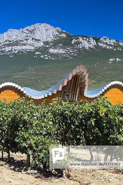 Weingut Europa Zukunft Wein Produktion Architektur Zimmer Laguardia Spanien