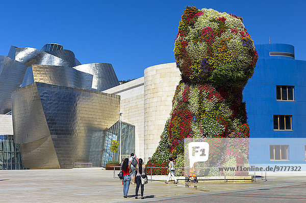 Europa Blume Tourist Kunst Museum Ansicht Bilbao Welpe Spanien Baskenland