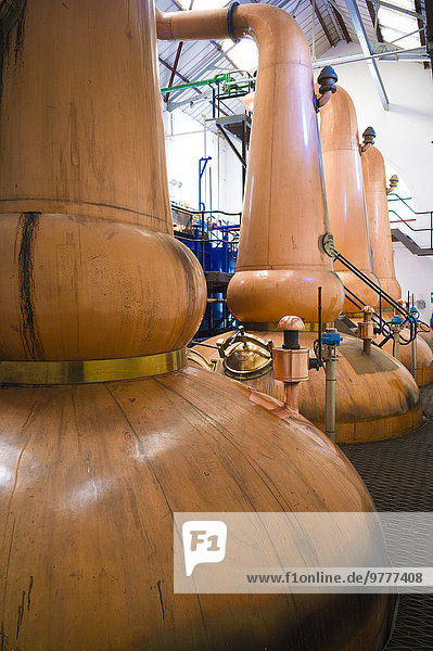 Binnenhafen Stilleben still stills Stillleben Anschnitt Europa Tradition Wohnhaus Großbritannien Tagesausflug Gast Produktion Whiskey Destillerie Kupfer Hebriden Isle of Mull Schottland Tobermory