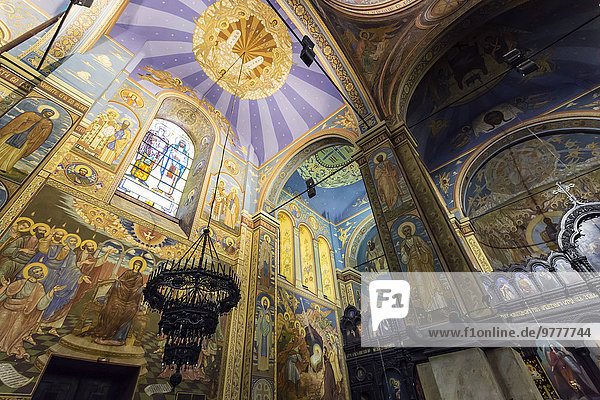 Europa Fenster Glas Schmutzfleck Kathedrale Regenwald Bulgarien