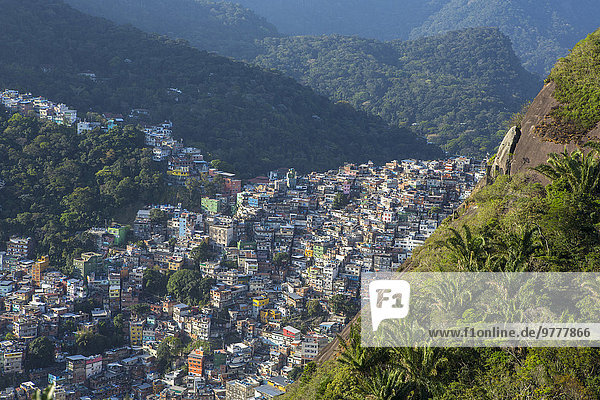 Nationalpark Wald Ansicht Brasilien Rio de Janeiro Südamerika