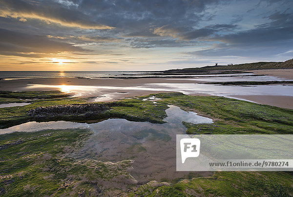 Europa sehen Palast Schloß Schlösser Strand Großbritannien über Sonnenaufgang Schönheit England Northumberland