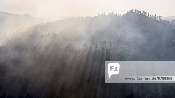Smoke from the Dog Rock wildfire in Yosemite National Park  UNESCO World Heritage Site  California  United States of America  North America
