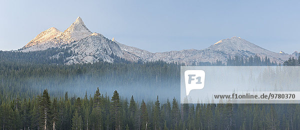 Berg Amerika über Dunst Wald Berggipfel Gipfel Spitze Spitzen Nordamerika Kiefer Pinus sylvestris Kiefern Föhren Pinie Verbindung UNESCO-Welterbe Wolkengebilde Yosemite Nationalpark Kalifornien Einhorn