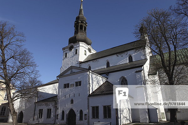 Tallinn Hauptstadt Kuppel Europa Kirche Kathedrale Heiligtum Regenwald Jungfrau Maria Madonna Jahrhundert Kuppelgewölbe Estland
