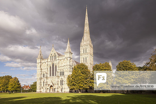 Salisbury Cathedral  built in the 13th century in the gothic style  has the tallest spire in the United Kingdom  Salisbury  Wiltshire  England  United Kingdom  Europe
