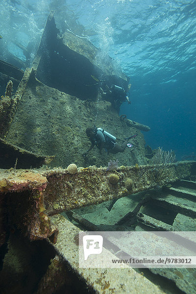 Diver diving on ship wreck in the Turks and Caicos Islands  West Indies  Central America
