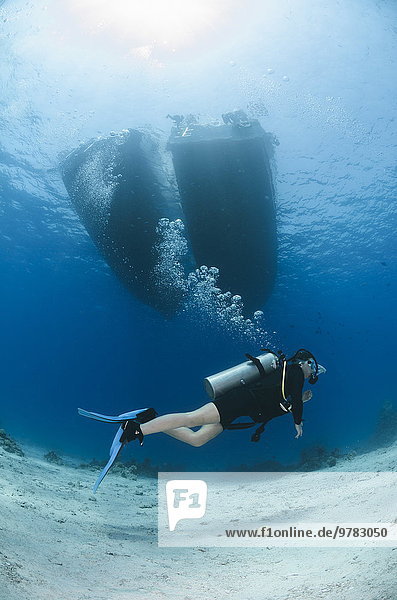 Female scuba diver swimming underneath moored up dive boats  Sharm El Sheikh  Red Sea  Egypt  North Africa  Africa