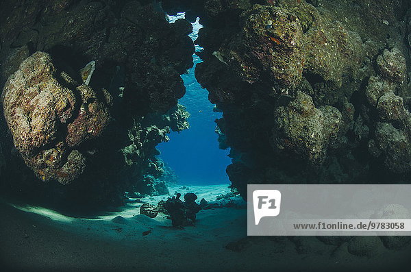 Nordafrika Unterwasseraufnahme unter Wasser Form Formen Höhle Scharm El-Scheich Sharm el-Sheikh Afrika Ägypten Rotes Meer