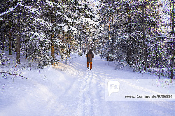 gehen Junge - Person Schnee Feld