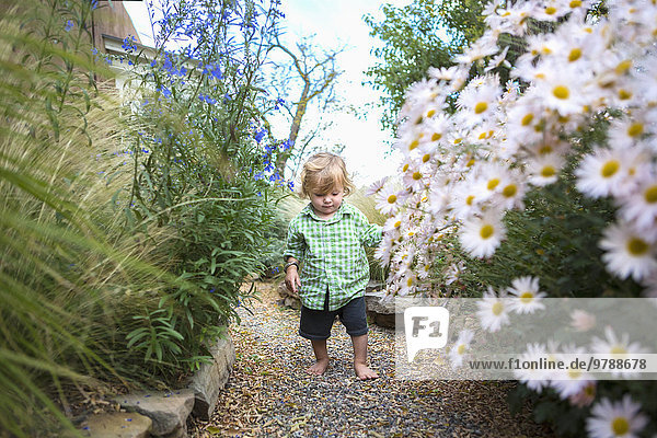 Caucasian baby boy walking in garden
