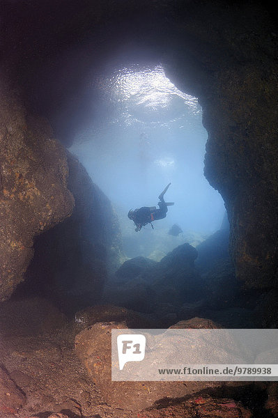 Taucher schaut in eine Höhle  Mindanaosee  Cebu  Philippinen  Asien