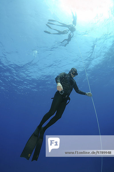 Freediving in the Red Sea  Egypt  Africa