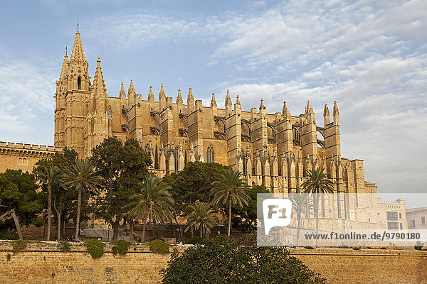 Kathedrale La Seu  Kathedrale der Heiligen Maria  Abendlicht  Palma de Mallorca  Mallorca  Balearen  Spanien  Europa