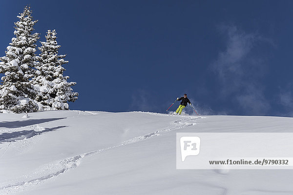 Skifahrer im Tiefschnee  Freerider  Venet  Zams  Tirol  Österreich  Europa