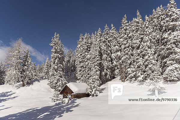 Hütte im Winterwald  Venet  Zams  Tirol  Österreich  Europa
