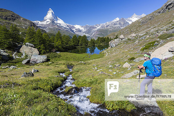 Mann beim Wandern am Grindjisee  dahinter Matterhorn  Zermatt  Wallis  Schweiz  Europa