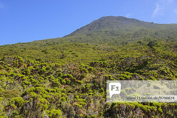 Mount Pico  Highlands Region  island of Pico  Azores  Portugal  Europe