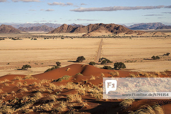 Elim-Düne  Ausblick auf Grassteppe und Kameldornbäume (Vachellia erioloba)  Sesriem-Camp und Tsarisberge  Namib-Wüste  Namib Naukluft Park  Namibia  Afrika