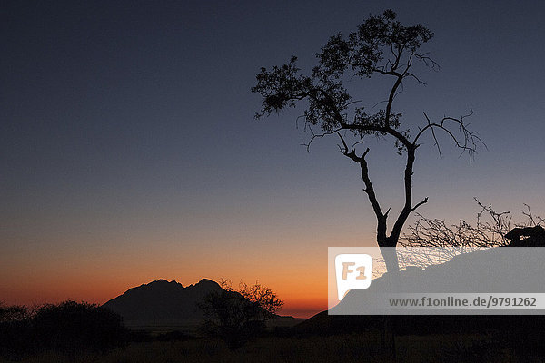'Abendlicht  Sonnenuntergang bei der Spitzkoppe  hinten die ''Kleine Spitzkoppe''  Namibia  Afrika'