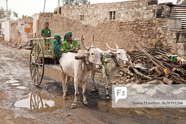 Farmer with his children and an ox cart  in the village of Aihole  Karnataka  India  Asia