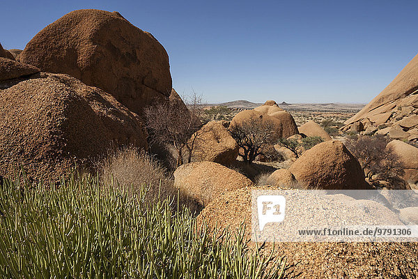 Felsen und Vegetation im Spitzkoppegebiet  Spitzkoppe  Damaraland  Namibia  Afrika