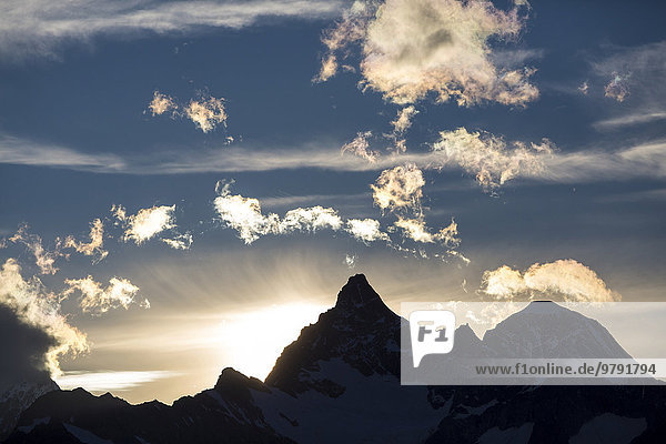 Sonnenuntergang hinter Obergabelhorn und Wellenkuppe  vom Berghaus Fluhalp aus  Zermatt  Wallis  Schweiz  Europa