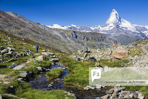 Ein Mann beim Wandern  Fluhalp  dahinter Matterhorn  Zermatt  Wallis  Schweiz  Europa