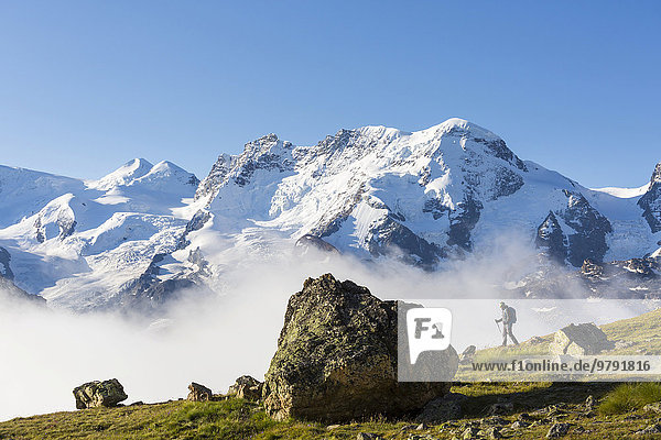 Wanderer am Wanderweg Höhbalmen  dahinter Monte Rosa Gruppe  Zermatt  Wallis  Schweiz  Europa