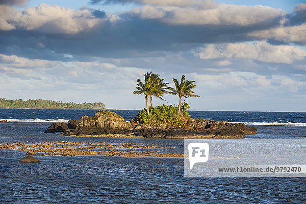 Kleine Felseninsel  Tutuila  Amerikanisch-Samoa  Ozeanien