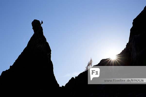 Climber on a cliff in the evening light at Savoy Alps  backlit  Chamonix  France  Europe