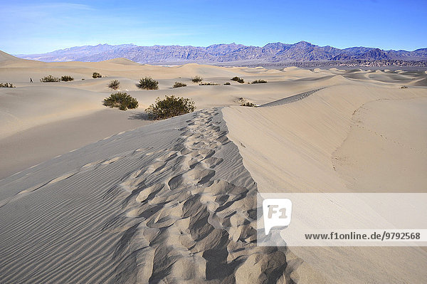 Sanddüne im Death Valley  Nevada  USA  Nordamerika