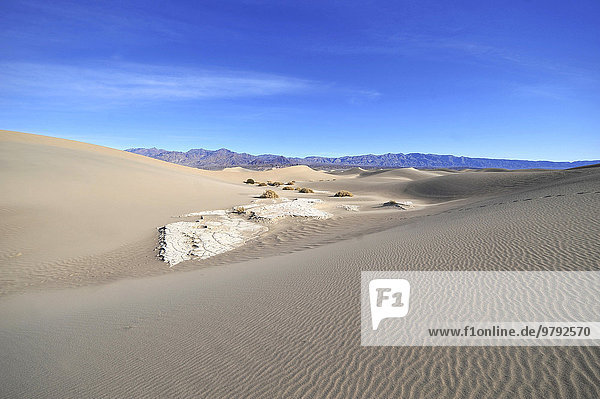 Sanddünen im Death Valley  Nevada  USA  Nordamerika