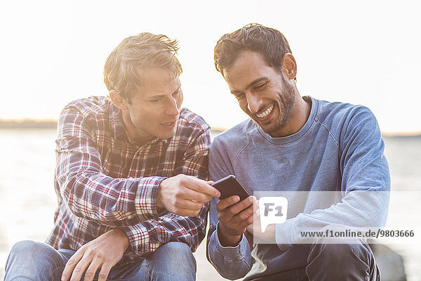 Glückliche männliche Freunde lesen SMS auf dem Handy gegen das Meer