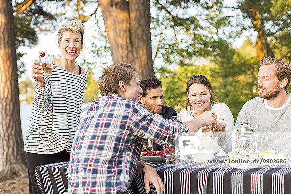 Porträt einer glücklichen Frau,  die Bierglas hält,  während sie bei Freunden beim Mittagessen am Picknicktisch steht.