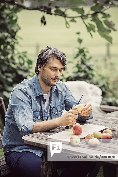 Mann schält Äpfel bei Tisch im Biobauernhof
