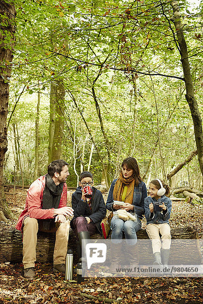 Laubwald sitzend Picknick Menschliche Eltern Herbst 2 Buche Buchen