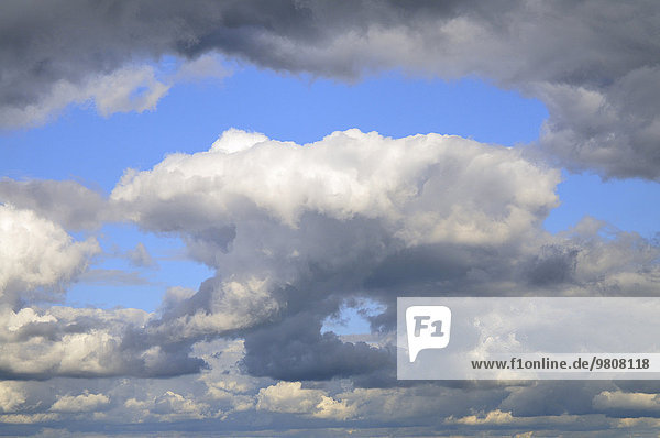 Wolkenformation kurz vor einem Gewitter  Brandenburg  Deutschland  Europa