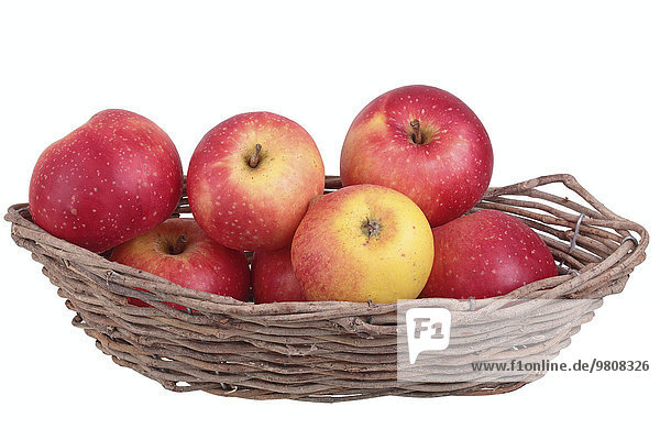 Apfelsorte Ruhm aus Kelsterbach  Äpfel liegen in einem Obstkorb