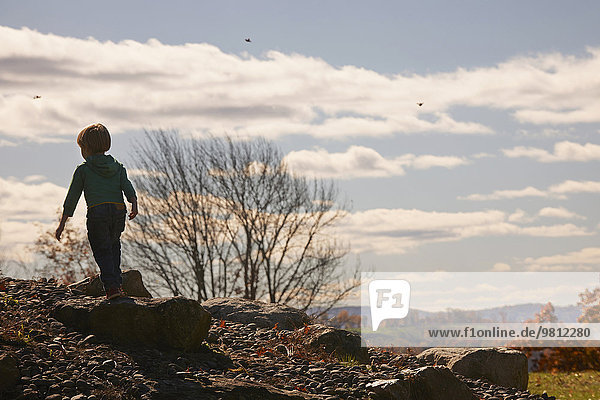 Boy standing on rock looking at countryside view  rear view