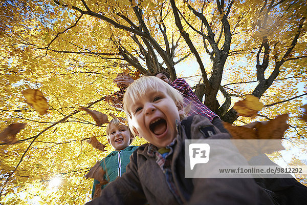 Family playing in forest  throwing leaves