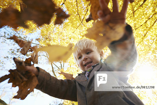 Boy playing with leaves in forest