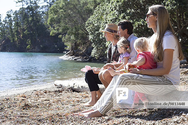 Familienfreunde sitzen auf einem Baumstamm am Strand  Neuseeland