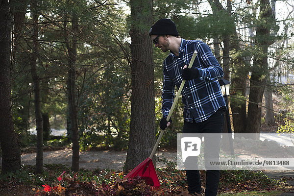 Male gardener raking pile of autumn leaves in park